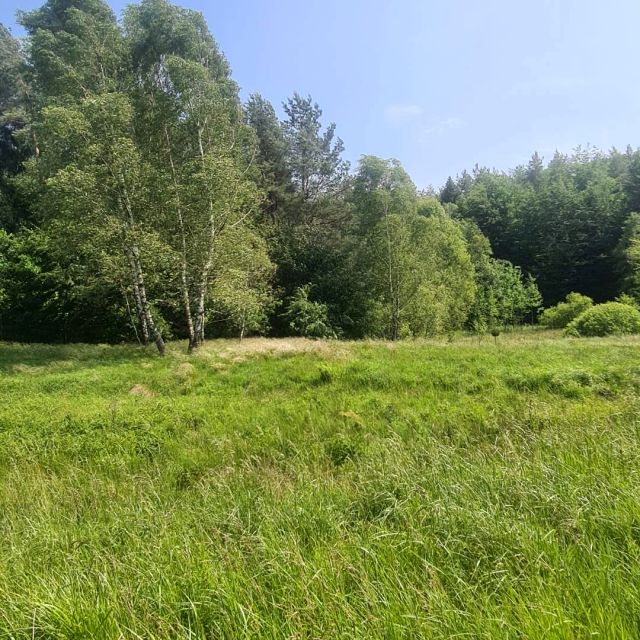 Działka budowlana Grzybno