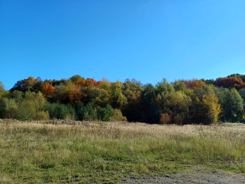 Działka inwestycyjna Olszyna