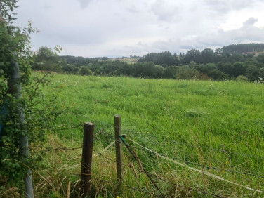 Działka budowlana Niestępowo