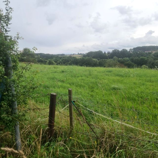 Działka budowlana Niestępowo