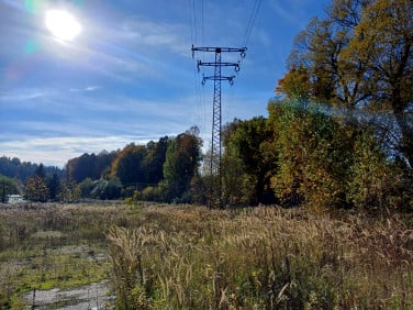 Działka inwestycyjna Olszyna sprzedam