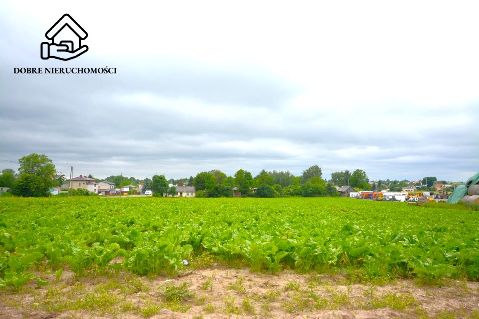 Działka budowlana Markuszów