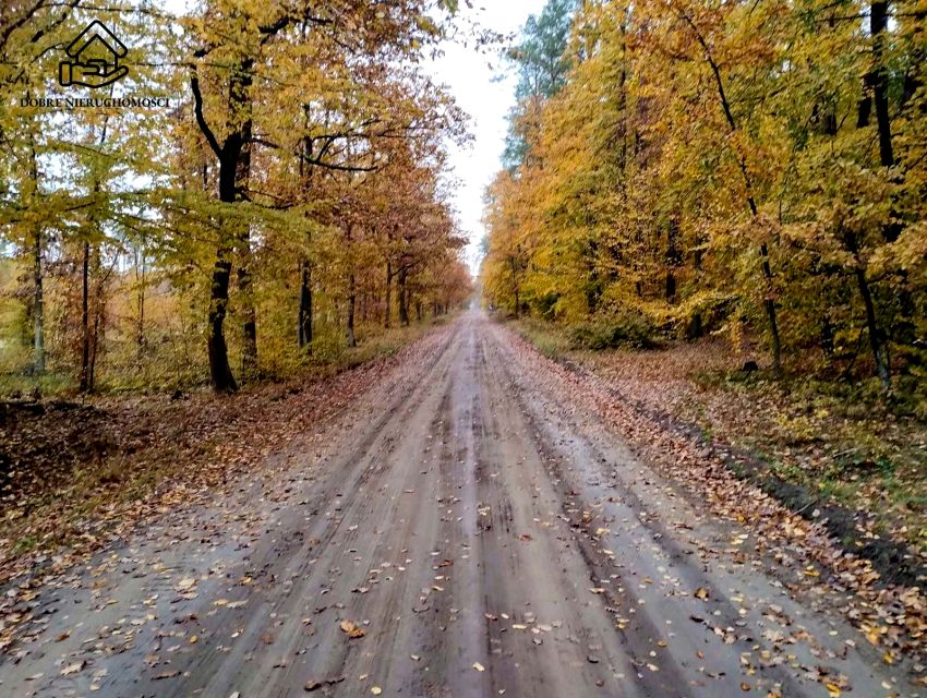 Działka inwestycyjna Majdan Kozłowiecki