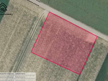 Działka budowlano-rolna Palikije Drugie