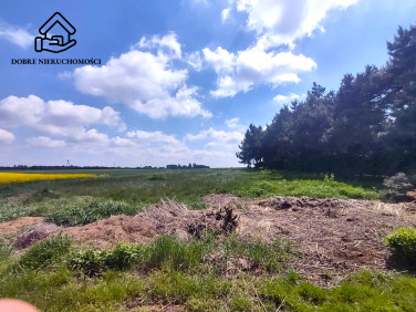 Działka budowlana Tomaszowice-Kolonia