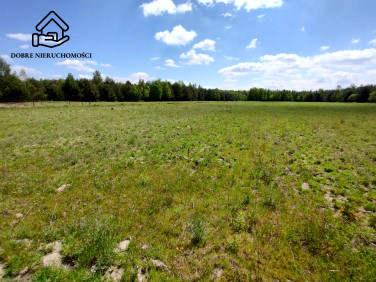 Działka budowlana Pryszczowa Góra