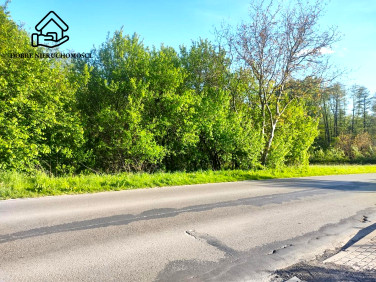 Działka budowlana Motycz