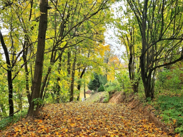 Działka budowlana Wojciechów