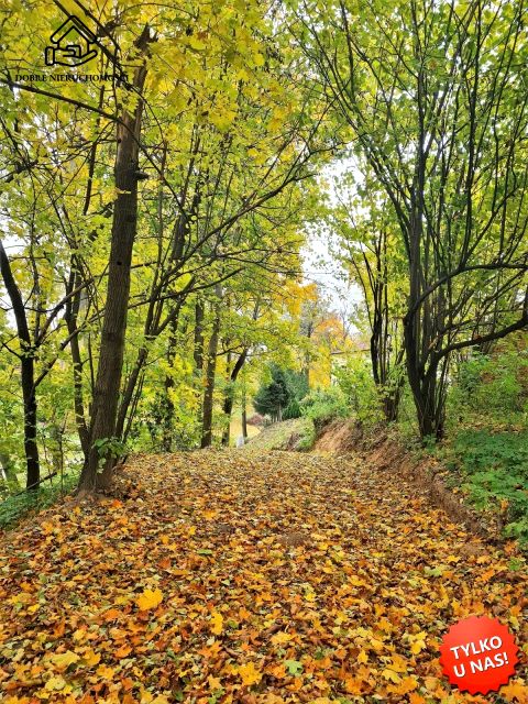Działka budowlana Wojciechów