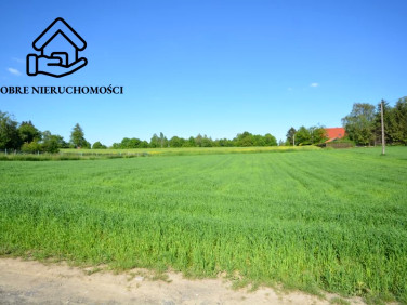 Działka budowlana Panieńszczyzna
