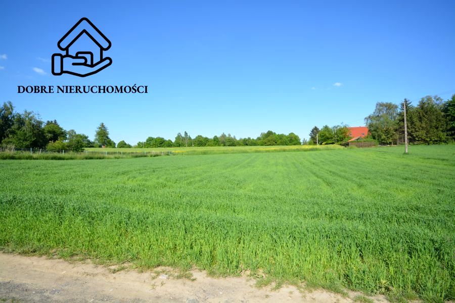 Działka budowlana Panieńszczyzna