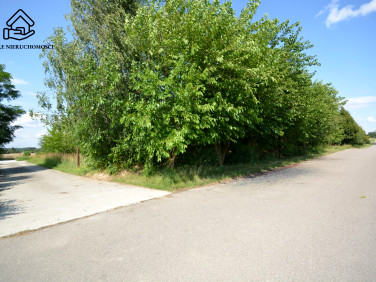 Działka budowlana Panieńszczyzna