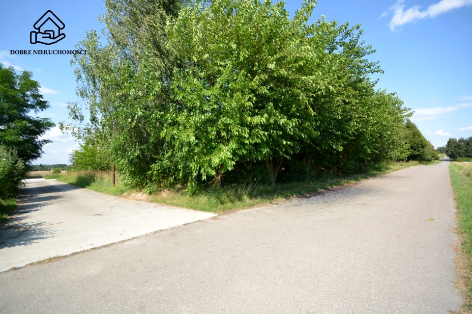 Działka budowlana Panieńszczyzna