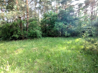 Działka rekreacyjna Dąbrówka