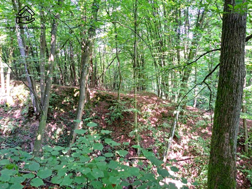 Działka leśna Kazimierz Dolny