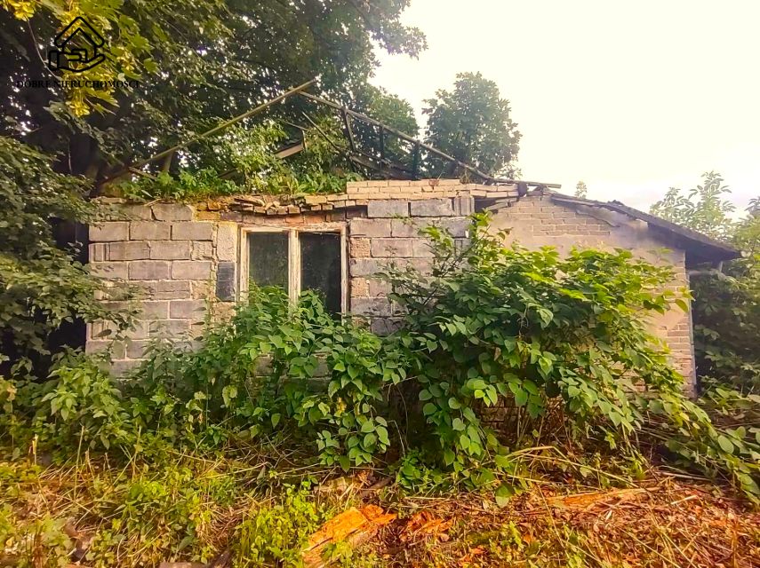 Zdjęcie 3