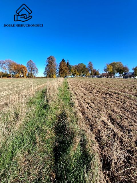 Działka budowlana Żabia Wola
