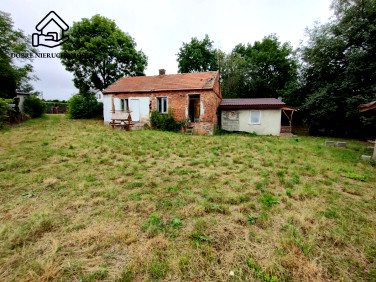 Działka siedliskowa Lisów