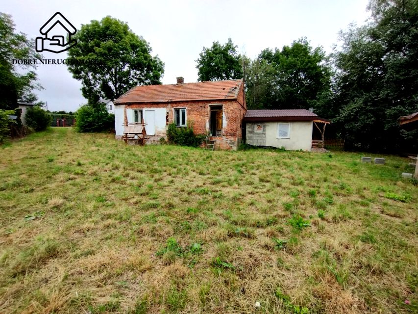 Działka siedliskowa Lisów