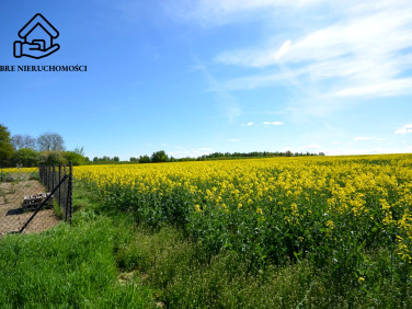 Działka budowlano-rolna Chmiel-Kolonia