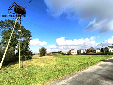 Działka rolna Borków