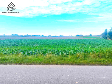 Działka budowlano-rolna Wojciechów