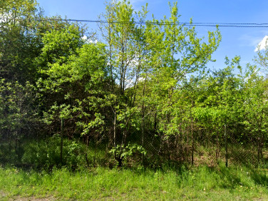 Działka budowlana Owczarnia