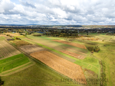 Działka rolna Czeluśnica