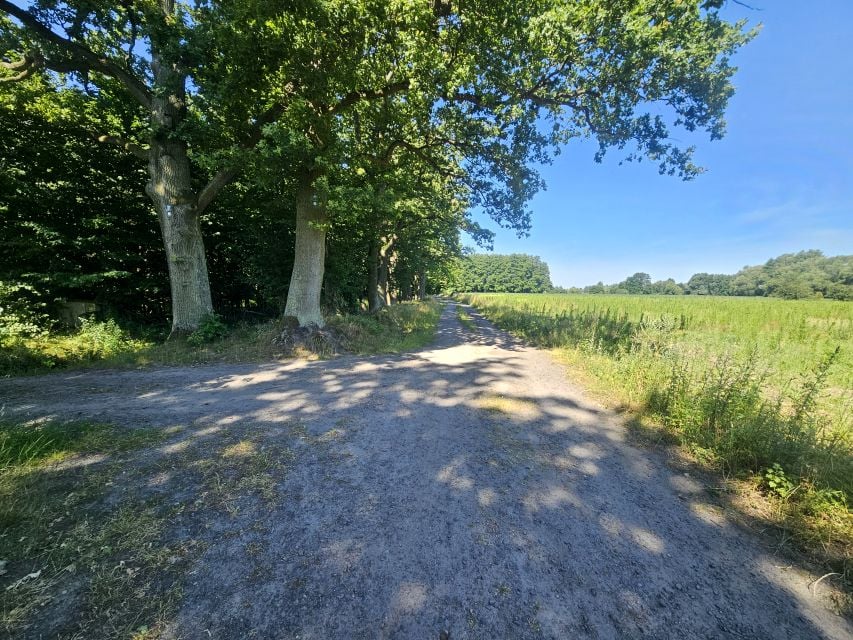 Działka budowlana Chwałowice sprzedam