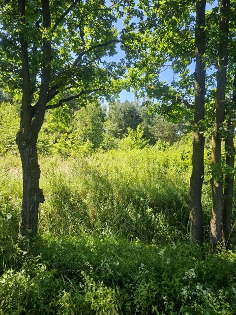 Działka budowlana Chwałowice