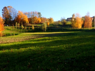 Działka rolna Szczepanowice