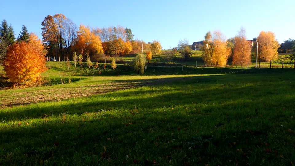 Działka rolna Szczepanowice