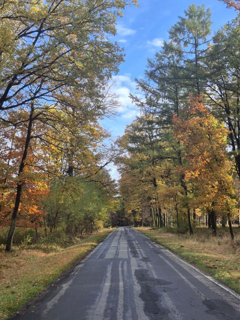 Działka budowlana Rachowice