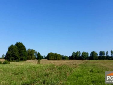 Działka rolna Świerzno