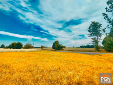 Działka budowlano-rolna Płoty