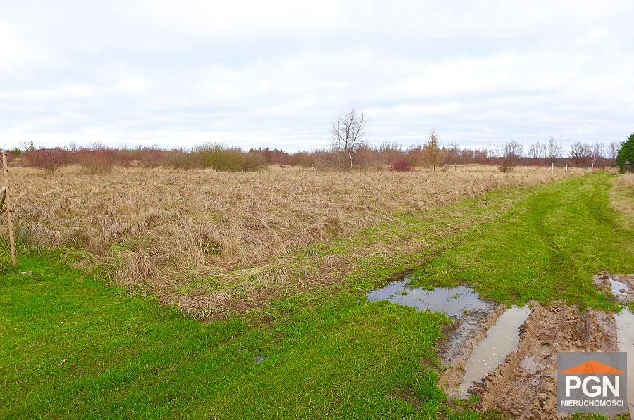 Działka rekreacyjna Niechorze