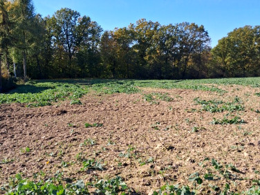Działka budowlana Bychawka Trzecia