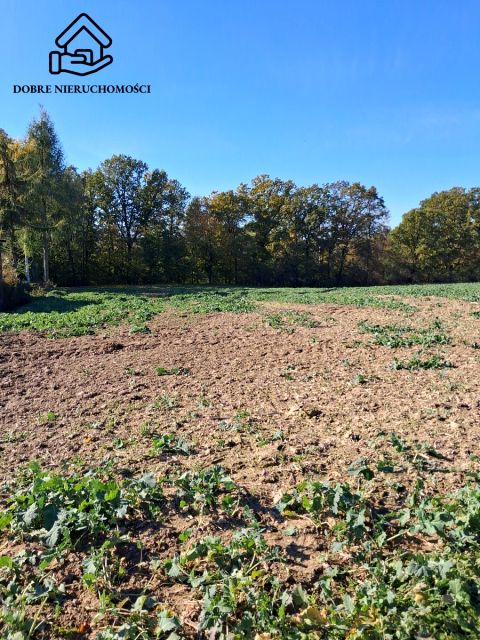 Działka budowlana Bychawka Trzecia
