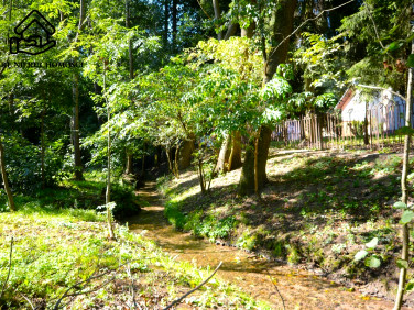 Dom Palikije Pierwsze