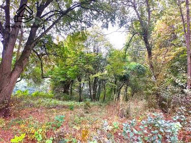 Działka budowlana Zalesie