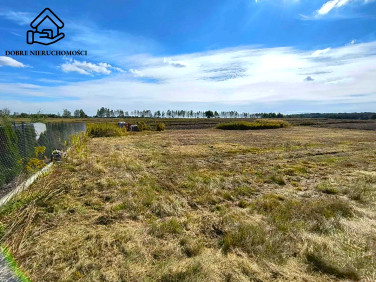 Działka budowlano-rolna Rokitno