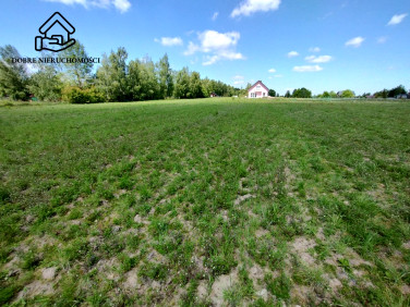 Działka budowlana Pryszczowa Góra