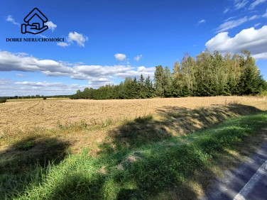 Działka budowlana Starościn