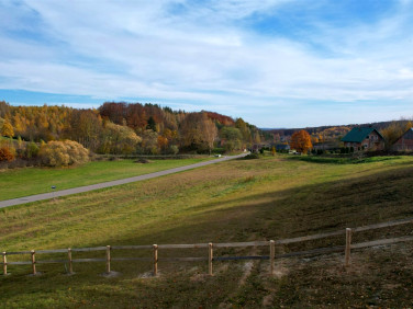 Działka Teodorówka-Kolonia