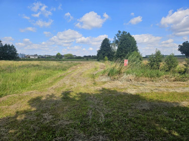 Działka rolna Więcbork