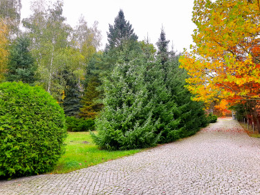 Działka budowlana Piaseczno