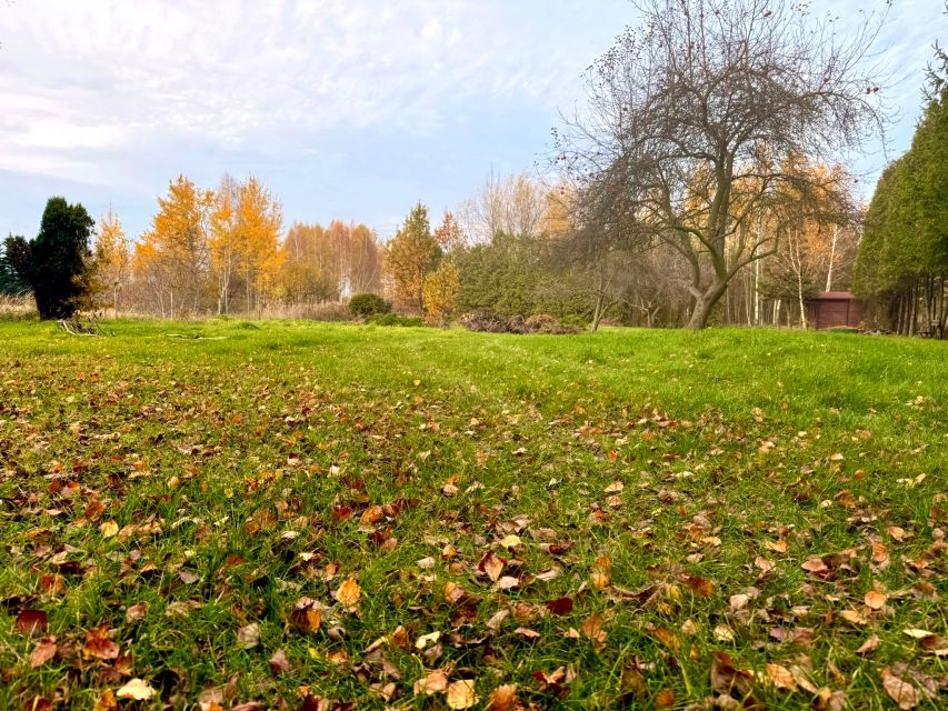 Działka przy lesie