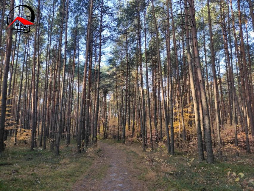 Działka leśna Nowiny Brdowskie