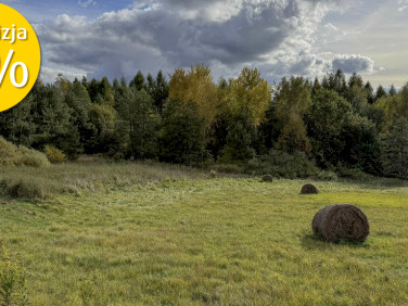 Działka Skopów