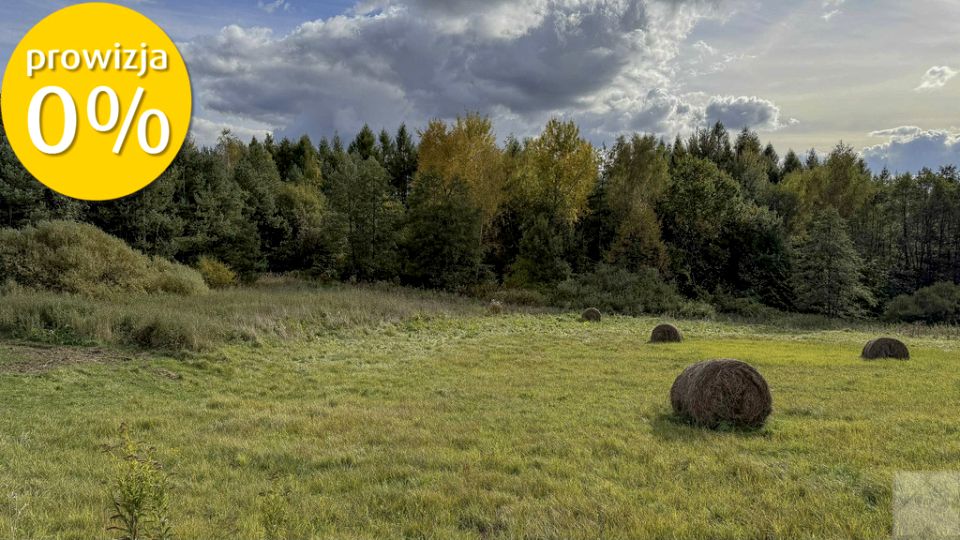 Działka Skopów
